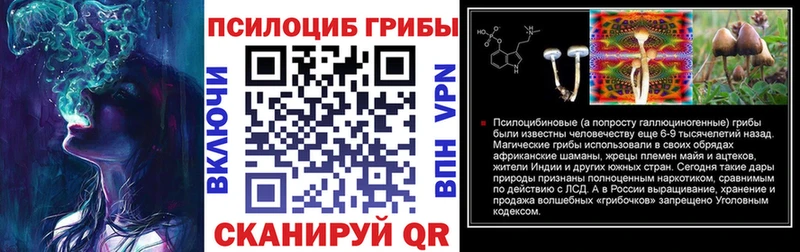 цены наркотик  Новодвинск  мега как войти  Псилоцибиновые грибы GOLDEN TEACHER 